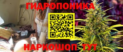 прущие грибы Коммунар