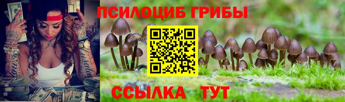 Псилоцибиновые грибы Magic Shrooms Биробиджан